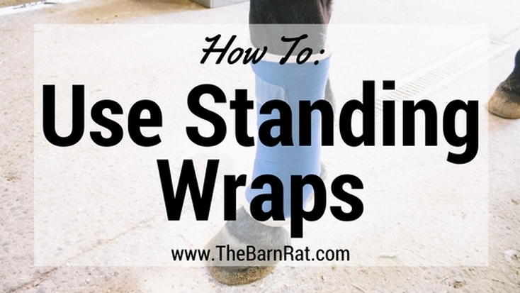 How to Use Standing Leg Wraps